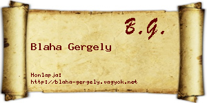 Blaha Gergely névjegykártya